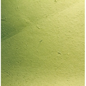 Carta gelso verde 65 x 90 Pz.1