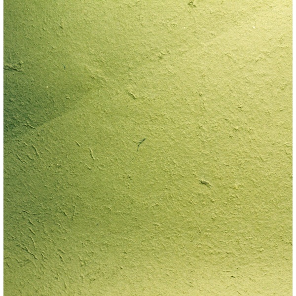 Carta gelso verde 65 x 90 Pz.1